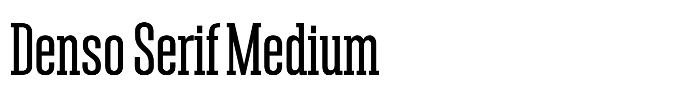 Denso Serif Medium